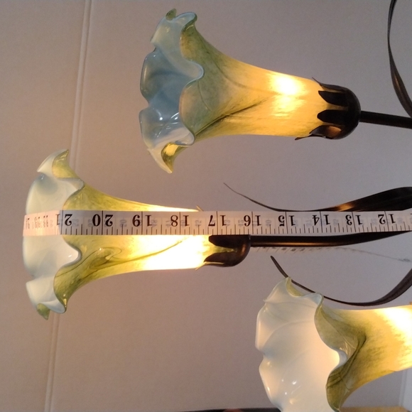 Dale Tiffany,la Mirada,CA - Picture 8 of 12